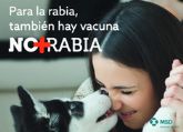 España, en riesgo de sufrir un brote de rabia, zoonosis que afecta a la salud pública