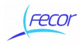 FECOR lanza una accin viral en TIKTOK con el objetivo de conectar con el pblico ms joven
