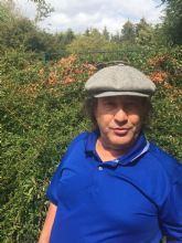 Voces de los migrantes