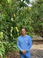 La diversificación comercial y consolidar el sello de calidad del mango mexicano
