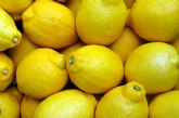 El sector del limón en Europa captura al año el C02 equivalente al generado por 140.000 coches recorriendo 20.000 km