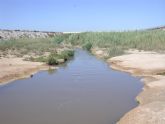 Expertos de la Universidad de Murcia advierten sobre  la salinización de los ríos