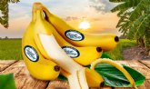 Sanlucar lanza un nuevo concepto de bananas premium