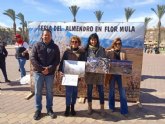 Ganadoras del II Concurso de Fotografa Feria del Almendro en Flor de Mula