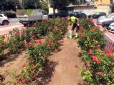 Parques y Jardines prepara los más de 10.000 rosales para conseguir una mayor floración en primavera