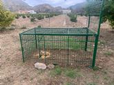 Medio Ambiente refuerza el control del jabalí en zonas sensibles tras la adquisición de ocho jaulas trampa homologadas