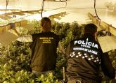 Desmantelan un invernadero de marihuana en una vivienda de la pedanía caravaqueña de Los Prados