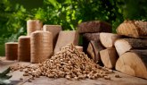 El consumo de biomasa aumenta hasta representar cerca del 50 % del calor renovable en Europa