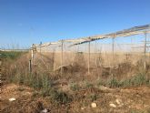 El inminente programa de nitratos murciano arrasa con 9 de cada 10 agricultores de la regi�n