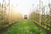 Regenera Iberia reunirá en Córdoba a referentes de España y Portugal en agricultura regenerativa