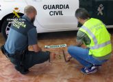 La Guardia Civil detiene a los cinco integrantes de un grupo delictivo dedicado a robar en viviendas