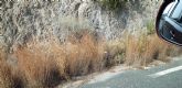 IU Lorca pide un plan de desbroce y limpieza de cunetas para evitar incendios