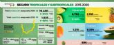 Crece el cultivo asegurado de aguacate, pina, mango, chirimoyo y papaya hasta las 19.400 toneladas anuales