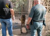 La Guardia Civil investiga a un vecino de Águilas por delito de abandono animal