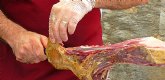 El Consorcio del Jamn Serrano Espanol comercializa su pieza nmero 17.000.000