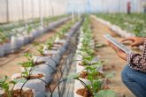 La agricultura entra en la era de los sistemas conectados: cinco tecnolog�as que est�n transformando el campo