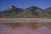 Medio Ambiente desarrolla un tratamiento biol�gico para d�pteros en Las Salinas del Rasall