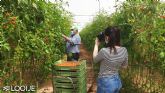 Looije, nominada a 'Mejor empresa online' del sector hortofrutcola por la revista Fruit Today