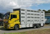El SEF lanza su primer curso centrado en las buenas prácticas en el transporte de ganado