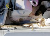 La Guardia Civil denuncia a dos pescadores en la reserva marina de Cabo Tiñoso