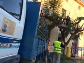 Comienzan los trabajos de poda de las moreras en las vías públicas y parques y jardines de Totana