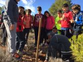El grupo Gepnace del CEIP Ciudad de Begastri realiza una jornada de reforestacin en los montes de Cehegn.