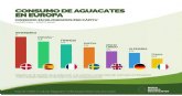 Francia se sitúa a la cabeza del consumo de aguacates en europa