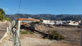 Ahora Murcia denuncia el corte de palmeras en una urbanización de nuevo desarrollo en la fuensanta