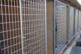 El Centro de Protección Animal amplía sus instalaciones para mejorar la atención a los animales vagabundos