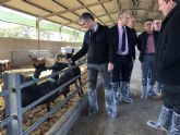 Agricultura solicitará al Ministerio que declare a la Región 'oficialmente indemne de brucelosis'