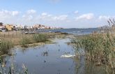 MC denuncia el abandono de las localidades cartageneras del Mar Menor