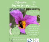 Ruta solidaria en Sierra Espuña para impulsar las viviendas tuteladas de PADISITO en Totana