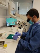 Fundacin Mutua Madrileña financiar un estudio UMU-IMIB para mejorar el trasplante cardiaco 'a corazn parado'