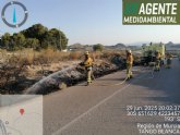 Apagan conato de incendio forestal en Ulea