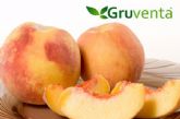 Gruventa destaca una campaña de fruta marcada por la calidad e internacionalización, a pesar de la fuerte competencia exterior