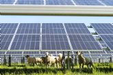 La Unión Española Fotovoltaica quiere contribuir a la resolución de la crisis energética actual llamando a la eficiencia y presentando una batería de medidas para reducir la dependencia nacional
