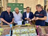 Las ventas al exterior de uva de mesa de la Región crecen un 19 por ciento y alcanzan un récord de 292 millones en 2025