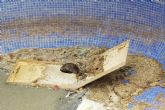 La Policía Local de Cartagena rescata un gato de una piscina vacía en Playa Honda