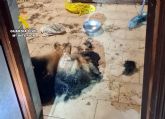 La Guardia Civil investiga a una vecina de Isla Plana por maltrato animal