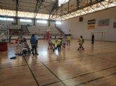 Resultados de la fase final local del Campeonato Alevn de Minibasket