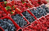 Las Berries de Mxico participarn en Fruit Logistica 2022 abanderando la 