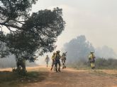 El dispositivo de emergencias con 225 efectivos consigue controlar el incendio forestal de Aledo en menos de 24 horas