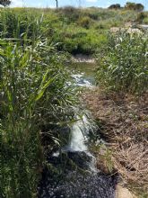 Los agricultores del Campo de Cartagena impiden el vertido anual de 1.600 piscinas olímpicas de aguas regeneradas al Mar Menor