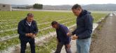 Fulgencio Gil visita las zonas afectadas por el granizo que esta tarde ha arruinado las plantaciones de agricultores lorquinos, especialmente en Marchena