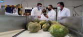 La Región de Murcia exporta más de la mitad de los melones que salen de España a terceros países