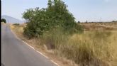 El PP reclama el desbroce y limpieza urgente de la carretera entre Almendricos y La Campana, tras las numerosas quejas vecinales por el estado que presenta