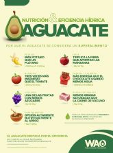 El aguacate lidera el ranking de eficiencia entre nutrientes y uso de agua