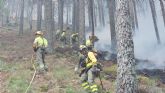 El contingente desplazado a los incendios de �vila, Toledo y Madrid regresa a la Regi�n tras cumplir su misi�n de apoyo para la extinci�n