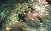Mimate este otono en balneario de Mondariz, balneoterapia desde la tradicin termal