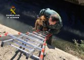 La Guardia Civil rescata a dos pastores alemanes que habían caído a una acequia